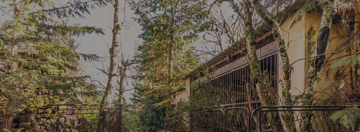 Zoo Luciano Ponzetto