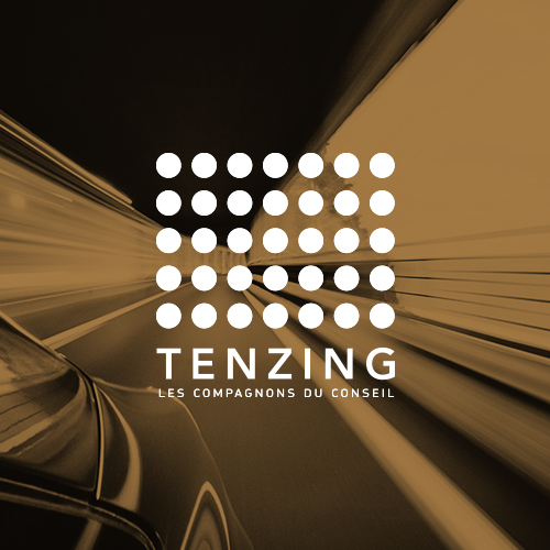 Projet Tenzing conseil